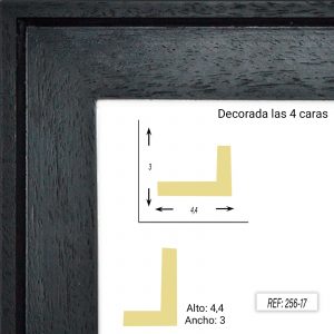 ̈L ̈ NEGRO P.ABIERTO