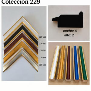 Colección 229