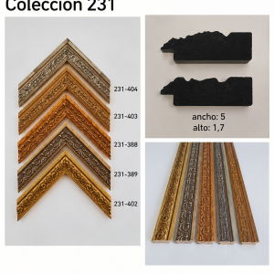Colección 231